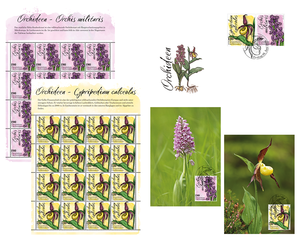 Orchidées
