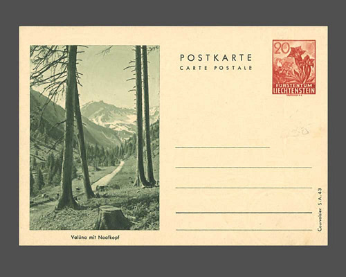 Postkarte: Enzian
