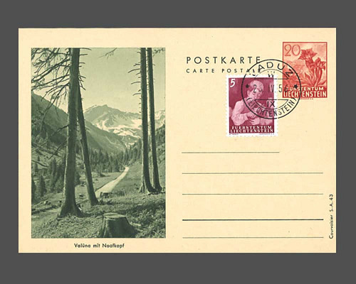 Postkarte: Enzian
