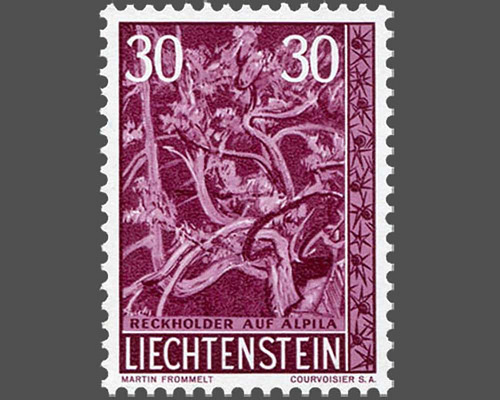 Native trees and shrubs - IV