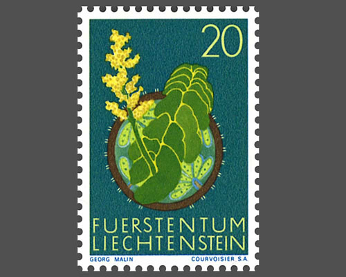 Blumen aus Liechtenstein - ll