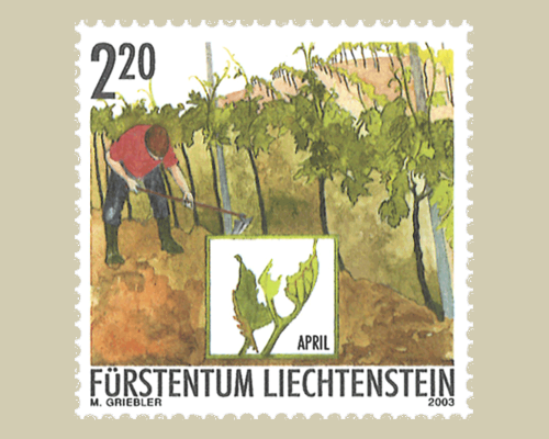 Das Jahr des Winzers: Winzerarbeit im Fr