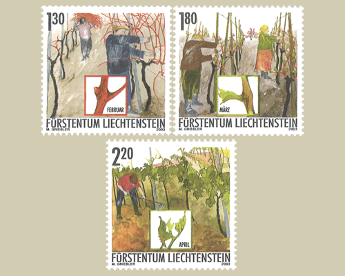 Das Jahr des Winzers: Winzerarbeit im Fr