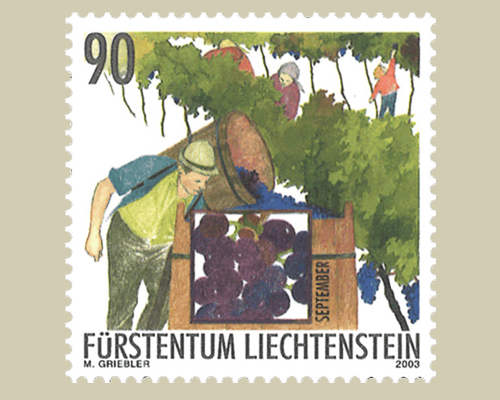 Das Jahr des Winzers: Winzerarbeit im He