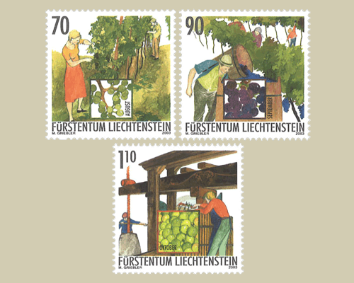 Das Jahr des Winzers: Winzerarbeit im He