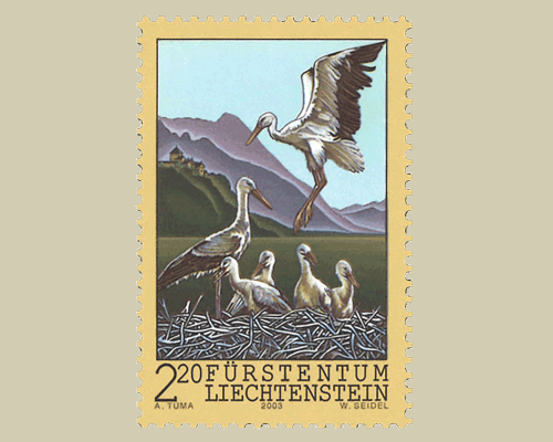 Weissstörche im Alpenrheintal