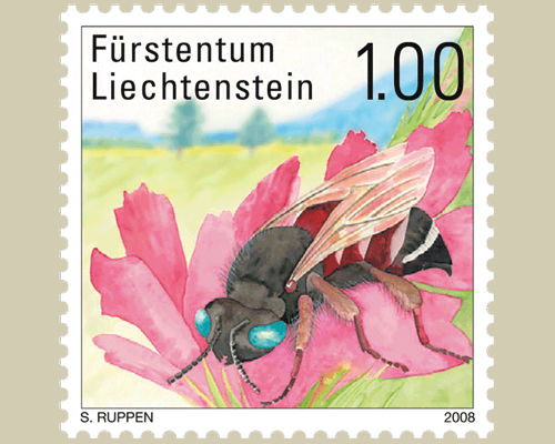 Rare bees and wasps in Liechtenstein