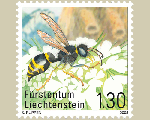 Rare bees and wasps in Liechtenstein