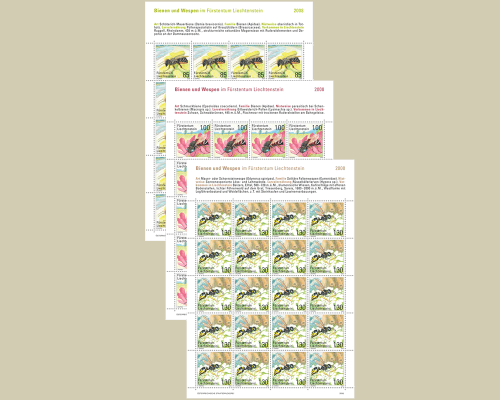 Rare bees and wasps in Liechtenstein