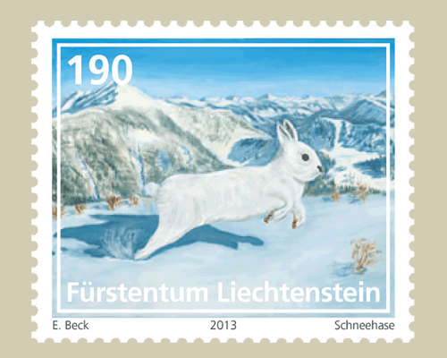 Young animals of the Alpine region - Alp