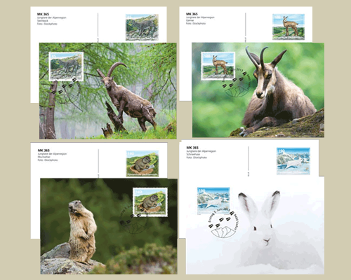 Bildpostkarte: Jungtiere der Alpenregion