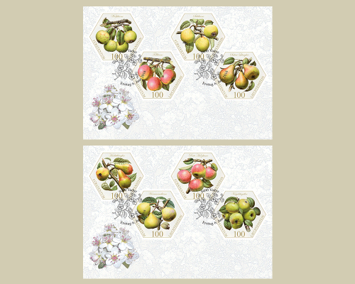 Alte Obstsorten: Birnen