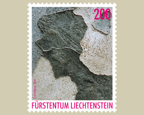 Künstlerische Fotografie: Erich Allgäuer