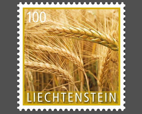 Kulturpflanzen - Getreide