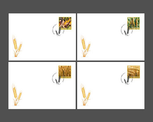 Kulturpflanzen - Getreide