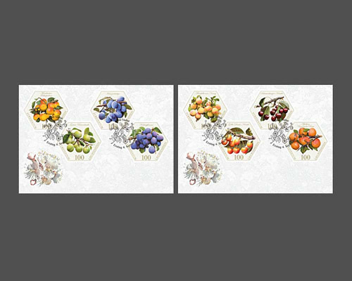 Alte Obstsorten: Steinobst