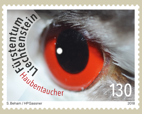 Artistic photography: Birds eyes