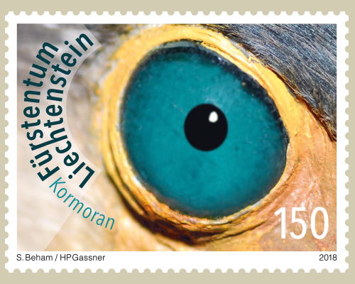 Artistic photography: Birds eyes