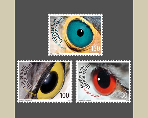 Artistic photography: Birds eyes