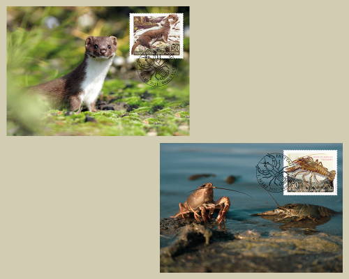 Europa – Endangered Wildlife