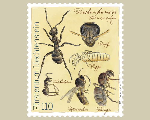 Samina Valley – Fauna