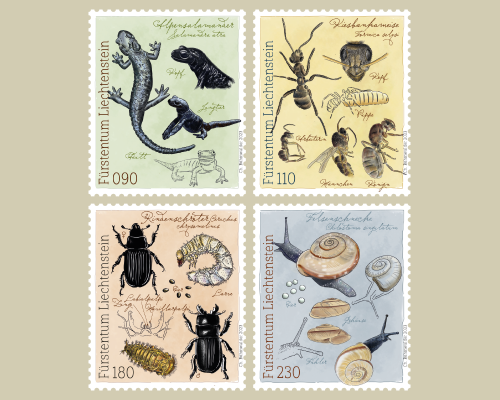 Samina Valley – Fauna