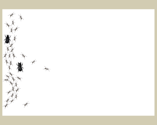 Faune de la vallée de la Samina