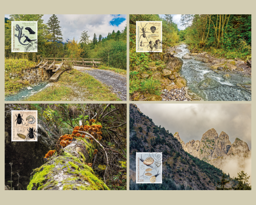 Samina Valley – Fauna