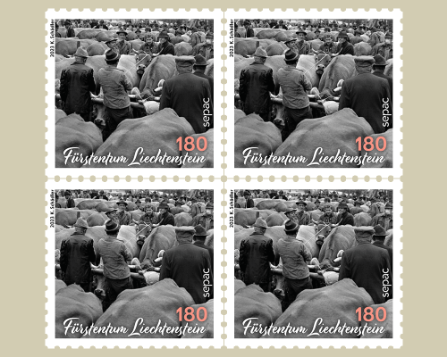 Sepac - Traditional Markets