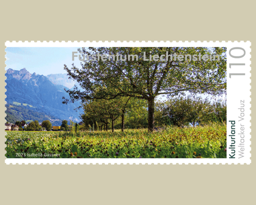 Panorama - Cultivated Land