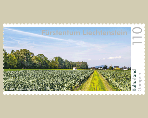 Panorama - Cultivated Land