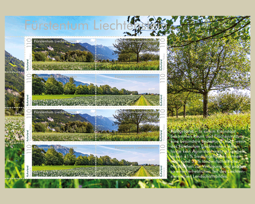 Panorama - Cultivated Land