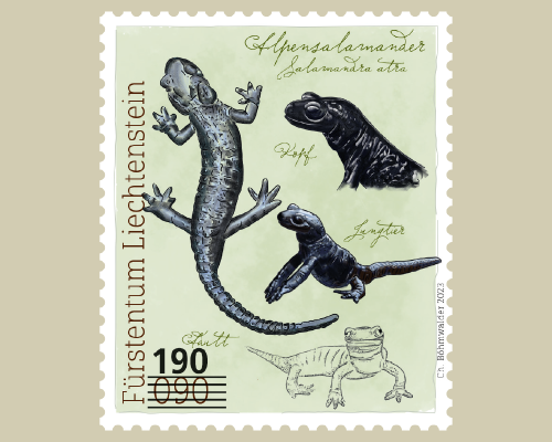 Provisional Stamps
