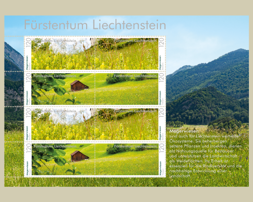 Panorama - Natural Meadows