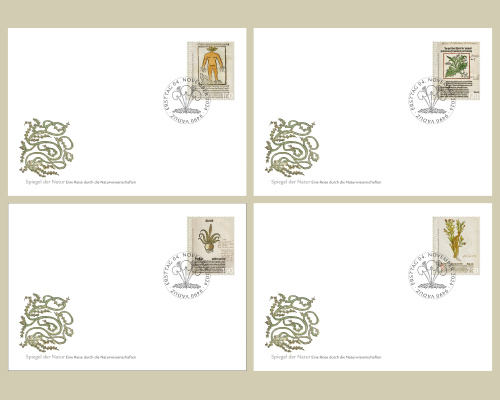 Reflets de la nature