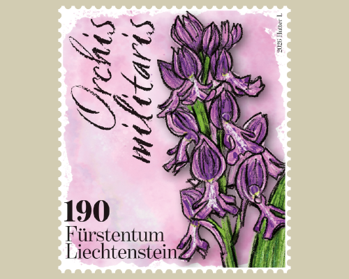 Orchidées