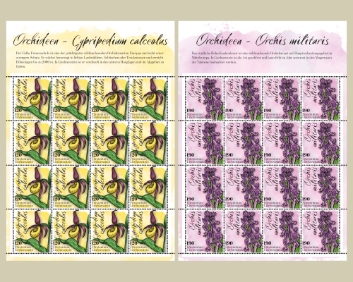 Orchidées