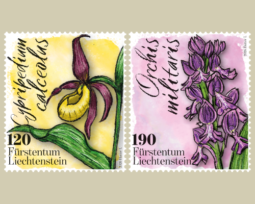 Orchidées