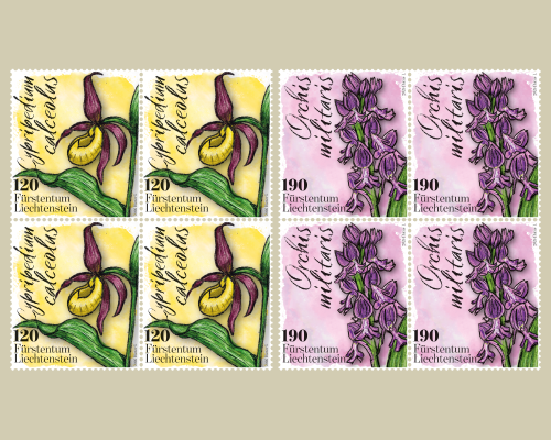 Orchidées