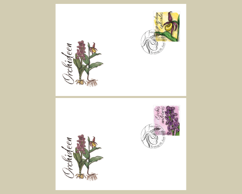 Orchidées