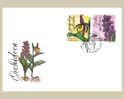 Orchidées