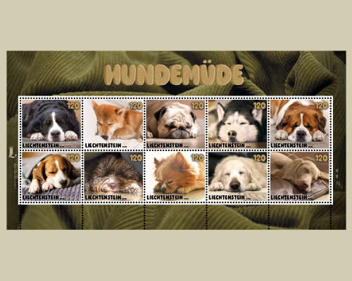 Hundemüde