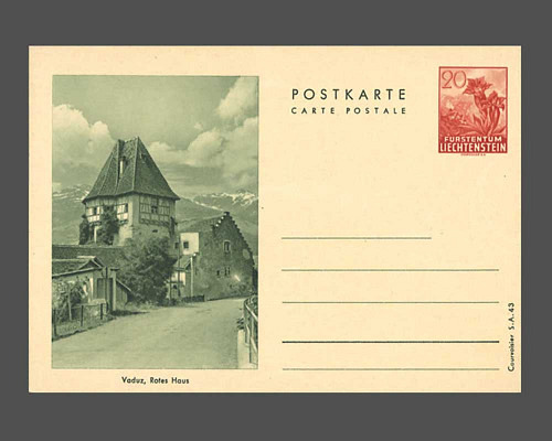 Postkarte: Enzian