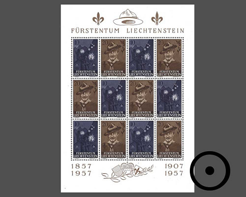 50 Jahre Pfadfinderbewegung