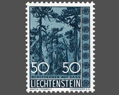 Native trees and shrubs - IV