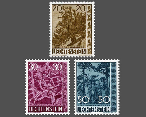 Native trees and shrubs - IV