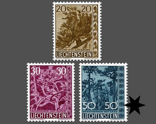 Native trees and shrubs - IV