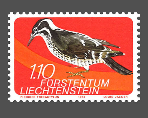 Kleinfauna aus Liechtenstein - ll