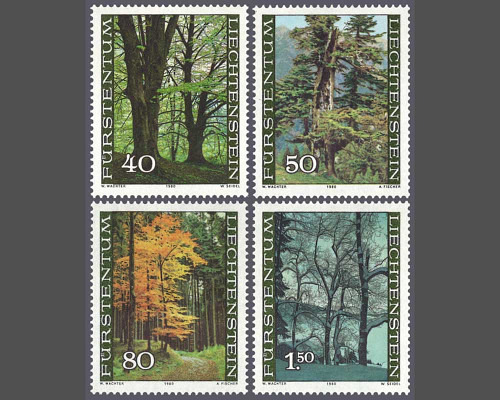 The forest in the four seasons