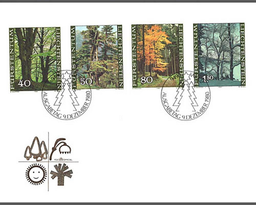 The forest in the four seasons